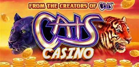 cats casino